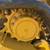 CATERPILLAR 259D 10 thumbnail