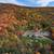House with Garage and Outbuildings on 27 acres in Olean NY 1 thumbnail