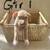 Blue nose Pitbull puppies 2 thumbnail