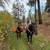 2015 AQHA BAY MARE 7 thumbnail