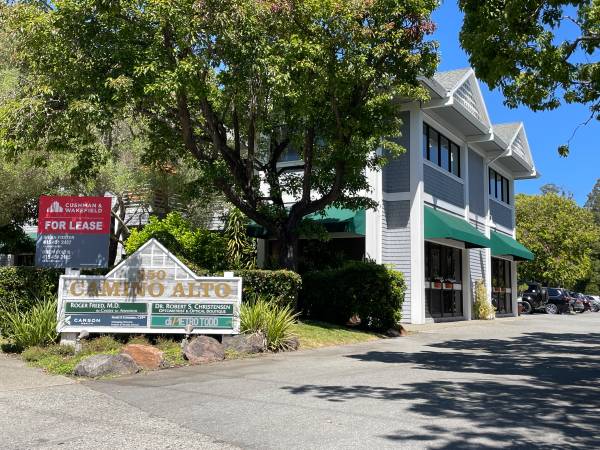 Great Centrally Located Mill Valley Office - 250 Camino Alto 1