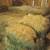 Hay For Sale 2 thumbnail