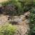 BEL MARIN KEYS BEACH FRONT,  FURNISHED HOUSE  - SHARED RENTAL 3 thumbnail