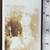 Rare 1926 First Lady Grace Coolidge w/Dogs, Secret Service Photograph 1 thumbnail