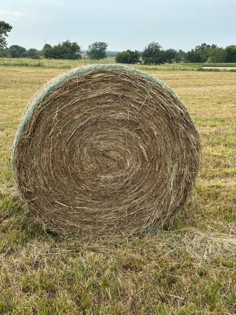 Rounds 4x5 Sprayed and Fertilized (Chicken Litter) 1