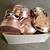 Copper cookware 1 thumbnail