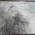 Curious Art Original or Print HELP?? 3 thumbnail
