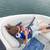 2005 Seadoo challenger 3 thumbnail