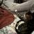 Cat Rehoming 7 thumbnail