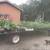 Perennial Plants 2 thumbnail