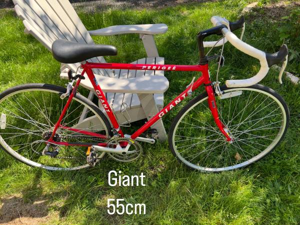 Giant Perigee 55cm Road Bike 1