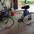Schwinn Continental 1 thumbnail