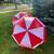 LARGE Umbrella Great for Badger Games $15 EACH NEW 4 thumbnail