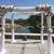 Wedding Arch Rentals^^^Rent Fabric Backdrops^^^OCgazebos starts at $50 13 thumbnail
