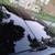 2012 TOYOTA PRIUS FOUR 7 thumbnail