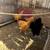Buff orpington chikens 4 thumbnail