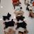 **** BEANIE BABIES - APPROX 200 INCLUDING THE SEAGULL, SNAKE, OWL, BAT 15 thumbnail