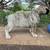 AKC Anatolian Shepherd Puppies for Sale 2 thumbnail