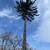 K2 Tree service/ Logging 19 thumbnail