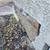 Concrete. Foundation. Masonry Expert. Blocklayer. All Types of Repairs 15 thumbnail