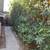 Davis, 4Bed/2Bath Home, Open Bright Floor Plan, Large Yard 23 thumbnail