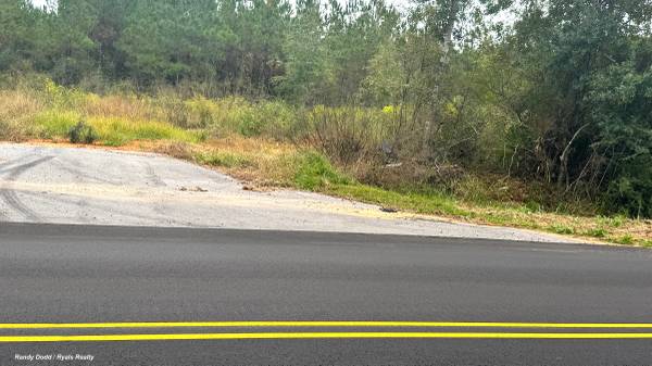 **Owner Financing** NEW price drop!  1 acre on Co. Rd 87 1