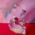 Princess House 24% Lead Crystal Bernie Bear 1 thumbnail