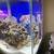 Saltwater/Freshwater Aquarium Repair Service! 3 thumbnail