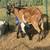 Goat Nanny & Kid for sale 1 thumbnail
