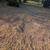 Tree services - tree removal-Bush hogging land clearing services 22 thumbnail