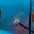 International 4800 4X4 Dump Truck 28000 Original Miles Garaged 8 thumbnail