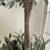 Pottery Barn Faux Olive Double Topiary Tree 8 thumbnail