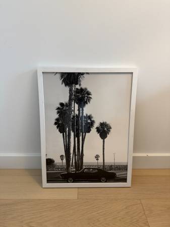 Black & White Palm Tree with Car Framed Photograph 1