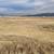 3 side by side lots package sale- 12 acres 23 thumbnail