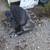 05 yamaha royal star venture 1300 7 thumbnail