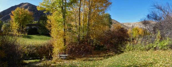 $1,160 / 1br - 1 bedroom furnished apartment on 1.5 acres with creek (Wenatchee)63785477239427124