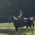 Big Stout Mare 10 thumbnail