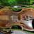 violin 1 thumbnail