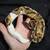 Pied ball python 1 thumbnail