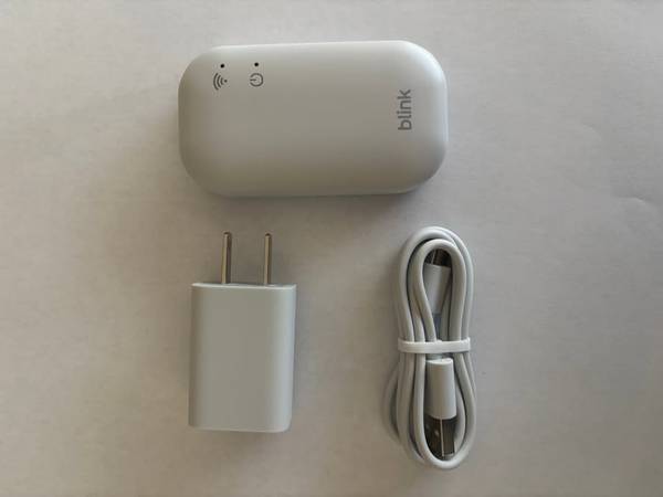 Blink Sync Module Core 1