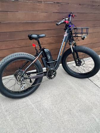 Rad Power ebike Rad Rover step thru 1
