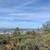 26 Acre Ocean View Parcel Custom Home Sites 9 thumbnail