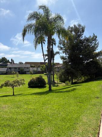 $2995.00 / 1br - 744ft2 - Newly Renovated Encinitas Condo63998455682306121