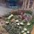 Thomas Kinkade "The Garden of Prayer" Collectible 5 thumbnail