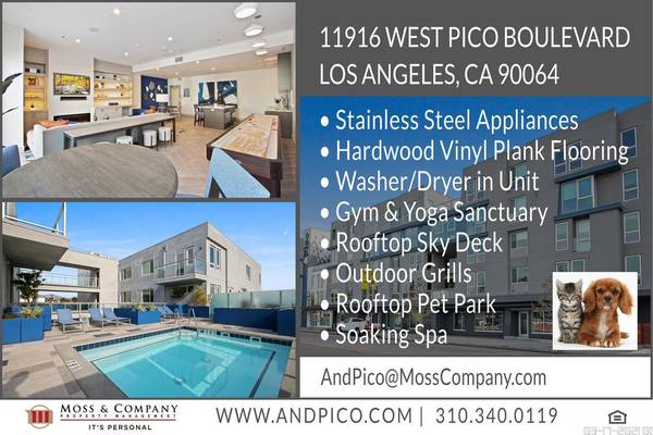 Outdoor Lounge, Soaking Spa, Modern 2 Bedroom Brentwood Adjacent 1