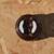 ***Vintage 1930's 40's Era Power Utility Pole Completely Intact In Exc 6 thumbnail