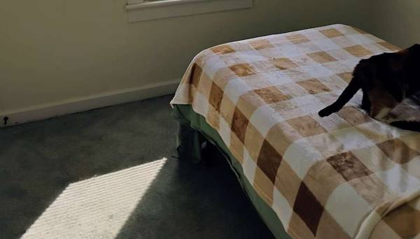 Suburban North For Rent 1