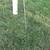 double garden hook , birdfeeder 15 thumbnail