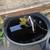 3 koi fish and pond 3 thumbnail