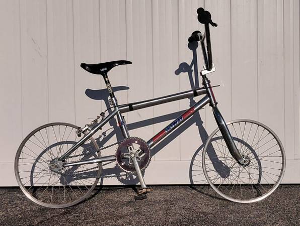 Old Skyway BMX Bike 1